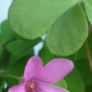 상원메디칼 이미지