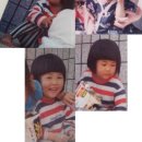 바가지 머리 Daum카페