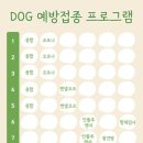 해나동물병원 네이버블로그