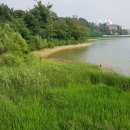 기흥호수공원 이미지