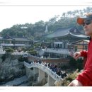 원조영양탕 이미지