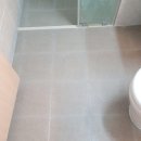 디엔에이치 이미지