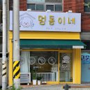 멍동이네 | 익산 애견미용 동산동 멍동이네에서 포메 미용 후기