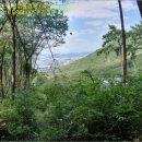 불모산동 이미지