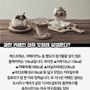 제이짐(J GYM) 이미지