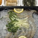 오늘은회 | 강릉 생새우회 맛집 [오늘은 새우회 강릉점] 배달 내돈내산 솔직 후기