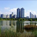 상동호수공원 이미지