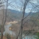 가시비 | 가성비의 정의와 시대적 등장