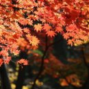 목동천길 이미지