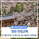 영천 연정 고택 | 영천 가볼만한 곳, 선원마을 연정고택 탐방기