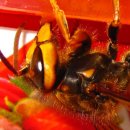 송월파크 이미지