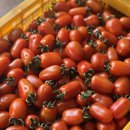 현대농장(A) 이미지