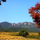 정기농장 이미지