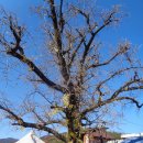 수야2리 경로당 이미지