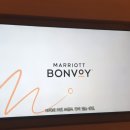 코트야드 바이 메리어트 세종 이미지