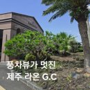 그린골프클럽 | [공지] 제주 라온골프클럽 후기 | 타이거우즈가 극찬한 명문 골프장