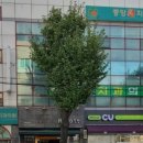 중앙미치과의원 이미지