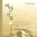 바다비행사 이미지