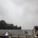 갤러리밥스 이미지