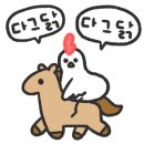 고릴라캠핑인속리산 이미지
