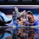 플라이미술학원 이미지