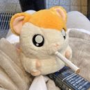 화남2차(아) | 이제 돈은 안 주지만 제 일상을 가져와 보았어요.