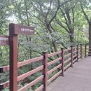 이승훈묘 이미지