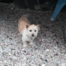 길순농장 이미지