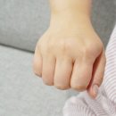 파우젠 네이버블로그