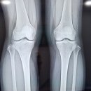 류마앤마디내과의원 이미지