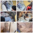 경희대 대영 태권도장 이미지