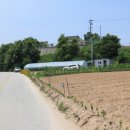 하나농장B 이미지