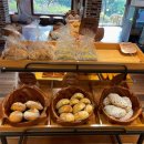 카페오늘 이미지