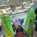 풀꽃하동 | 구례 하동 당일치기 코스 추천 💚 드라이브부터 맛집까지 ✔️