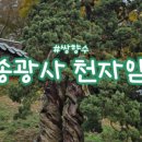 쌍홍루