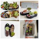 가야2동-6 이미지