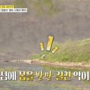 (주)알지힐링 이미지