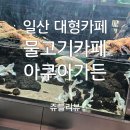 리나플러스 | 일산 대형카페 일산 크리스마스 일산 물고기카페 아이랑 아쿠아가든 다녀온 찐 후기!