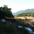 병부농장 이미지