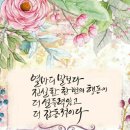 아보 이미지