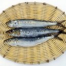 유림어망공업주식회사 | 일제 강점기 정어리 특수로 부자가 되었던 함경도 사람들