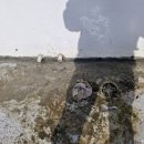 유창프라자 이미지