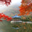 신문활용과논술2 이미지