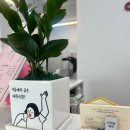 이런날, 헤어 네이버블로그