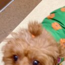 놀러왕왕왕 이미지