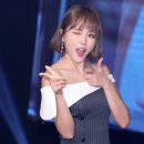 이모네꽃돼지 이미지