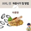쌀보리양식 이미지