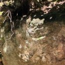 다락골케빈하우스 이미지