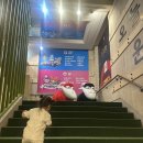 경주 키즈카페 히어로플레이파크 경주점 후기