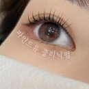 파인드유 이미지